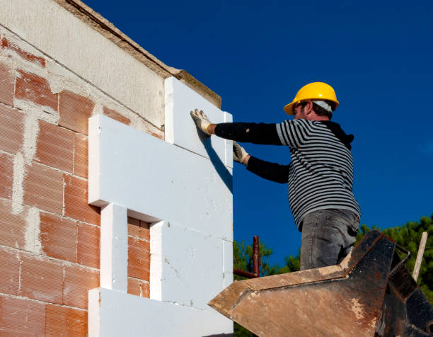 Best Commercial Insulation in Double Oak, TX