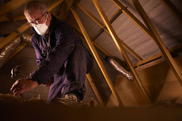 Best Types of Insulation in Double Oak, TX